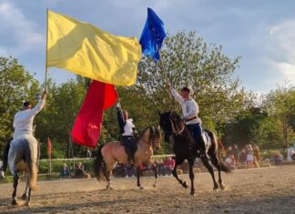 Povestea Calului revine la Hipodromul din Mangalia