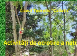 (VIDEO) Elevii Liceului Teoretic ”Callatis”, implicați într-un proiect de ocrotire a naturii