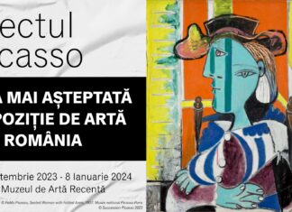 Efectul Picasso se vede la City Park Mall Constanța printr-o instalație imersivă dedicată marelui pictor spaniol