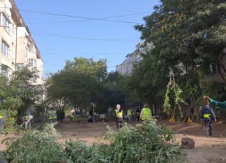 MANGALIA: Continuă lucrările de igienizare a domeniului public