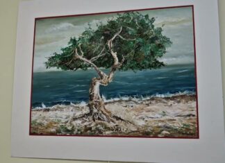 (video) Expoziția de grafică și pictură ”Pensule, Creioane, Culori” a Profesorului Karl Robert Perko