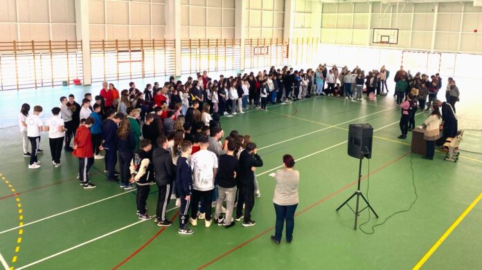 Activitate de informare împotriva traficului de persoane la Școala Sf. Andrei din Mangalia