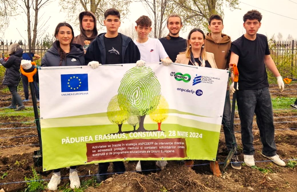 Pădurea Erasmus 4