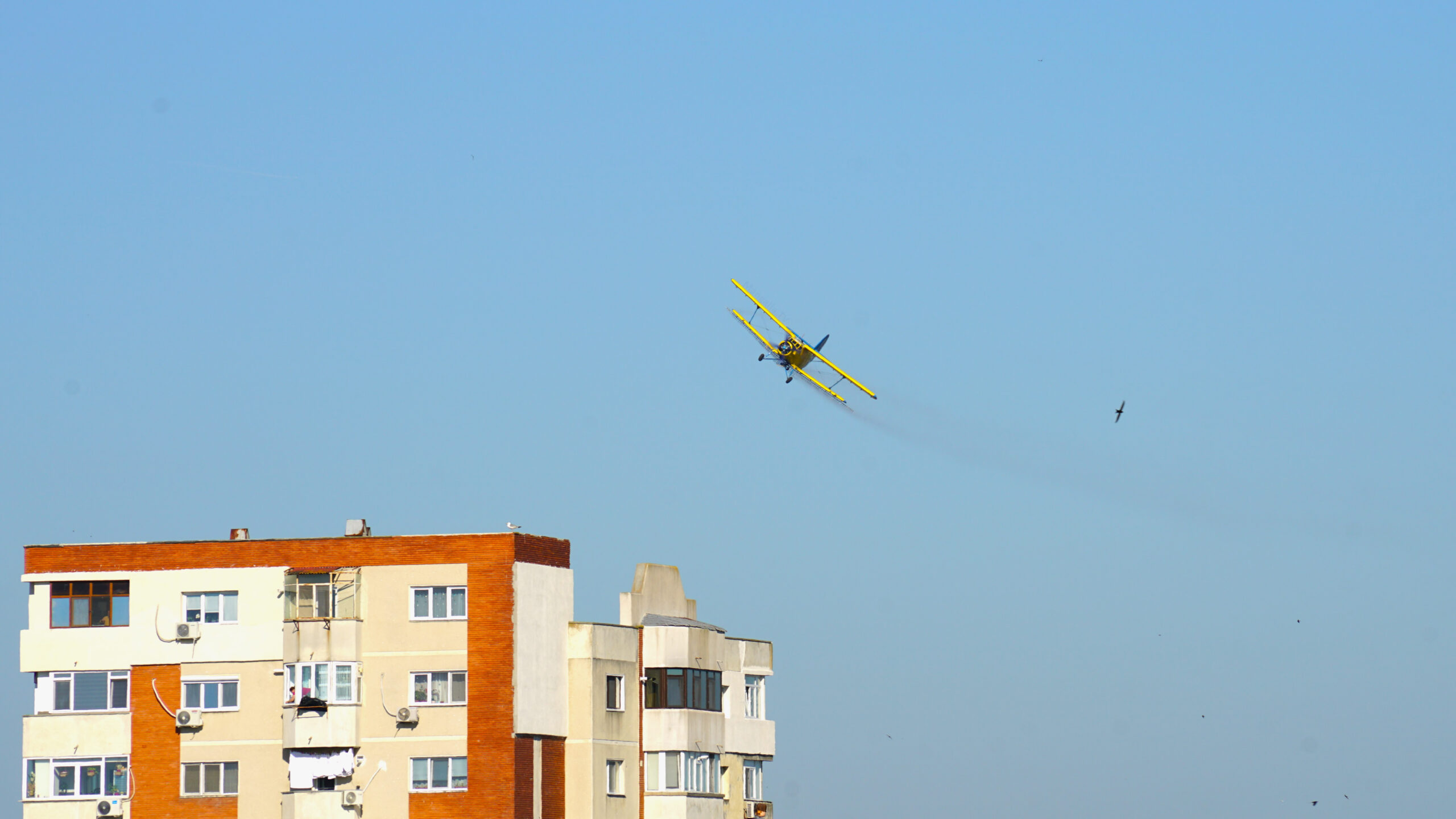 Avion utilitar