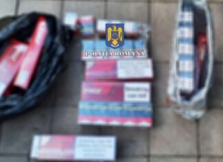 Percheziții ample în Constanța, Mangalia și Năvodari: Polițiștii au confiscat țigarete și bunuri de contrabandă