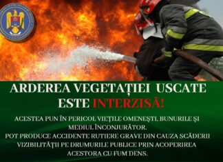 Incendii de vegetație uscată în Dobrogea. Flăcările au afectat o suprafață de peste 100 de hectare, punând la grea încercare echipajele de intervenție