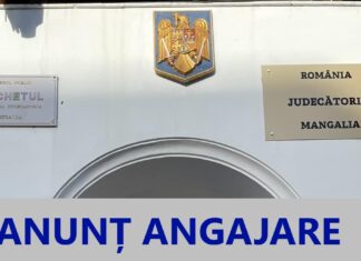 Parchetul de pe lângă Judecătoria Mangalia angajează șofer