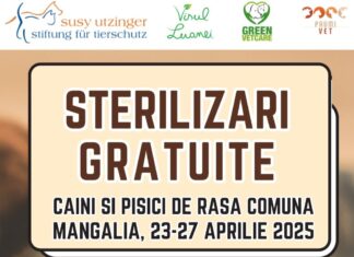 O nouă campanie de sterilizări gratuite la Mangalia