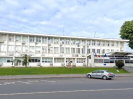 Primăria Mangalia organizează concurs pentru postul de manager la Direcţia Cultură şi Sport