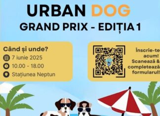 UrbanDog Grand Prix transformă Neptunul în scena pasionaților de sporturi canine. Circulația rutieră va fi restricționată