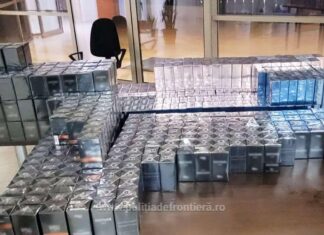 Descoperiri importante ale polițiștilor de frontieră în Portul Constanța și la Vama Veche: bunuri contrafăcute în valoare de 250.000 de euro