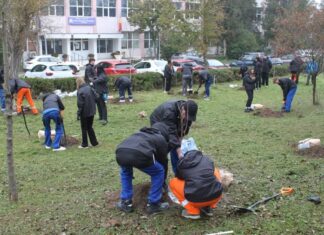 Elevii Liceului „Ion Bănescu” Mangalia plantează pentru viitor, de Ziua Dobrogei