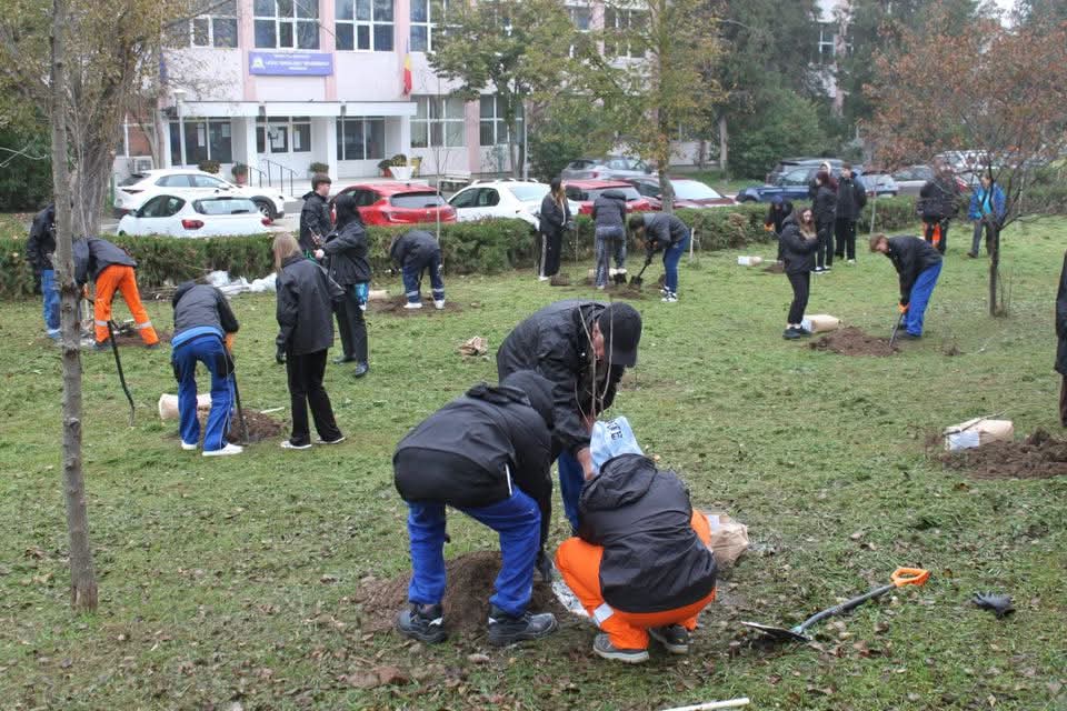 Livada educationala Liceul Ion Bănescu Mangalia3