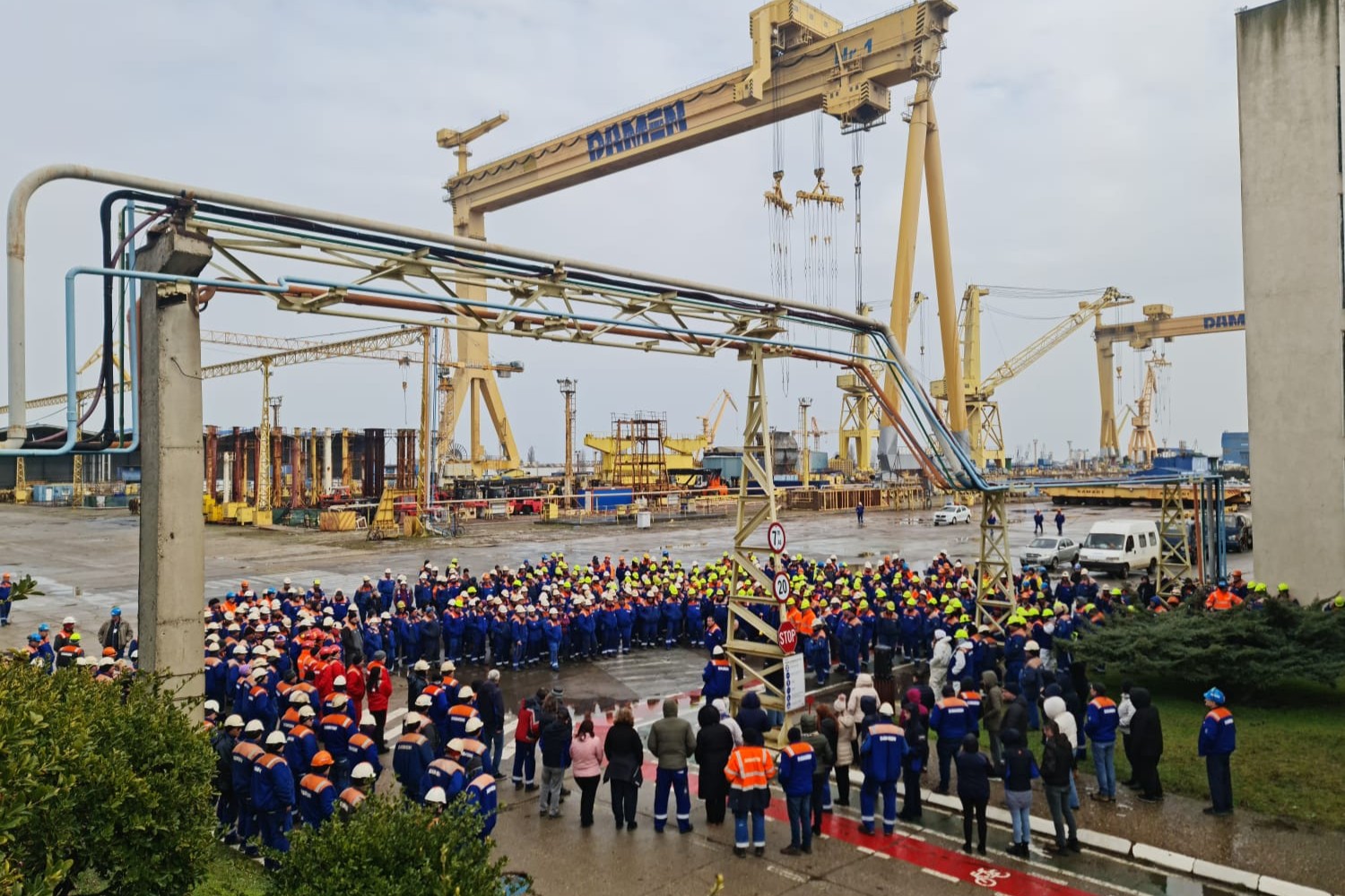 Damen Mangalia Protest
