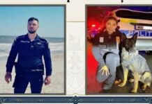 Ziua Poliției Române, sărbătorită la Constanța printr-un eveniment dedicat publicului, în Piața Ovidiu