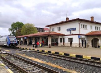 Tânără de 19 ani, lovită de tren în Gara Mangalia. Avea căști în urechi și ar fi traversat liniile prin loc nepermis