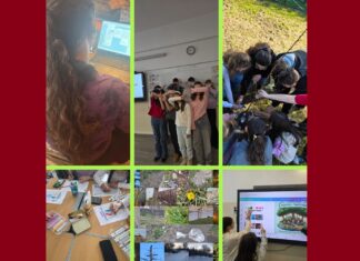 Elevii claselor a V-a de la Liceul Teoretic „Callatis” Mangalia, implicați într-un proiect internațional eTwinning dedicat educației ecologice