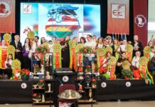 România face din nou spectacol în Europa felină: campioni mondiali, campioni europeni și o pisică salvată de pe străzile Iașului care cucerește Cupa Țărilor Baltice
