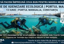 Scafandri din toată țara și elevi din Albești se mobilizează pentru ecologizarea Portului Mangalia