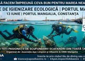 Scafandri din toată țara și elevi din Albești se mobilizează pentru ecologizarea Portului Mangalia