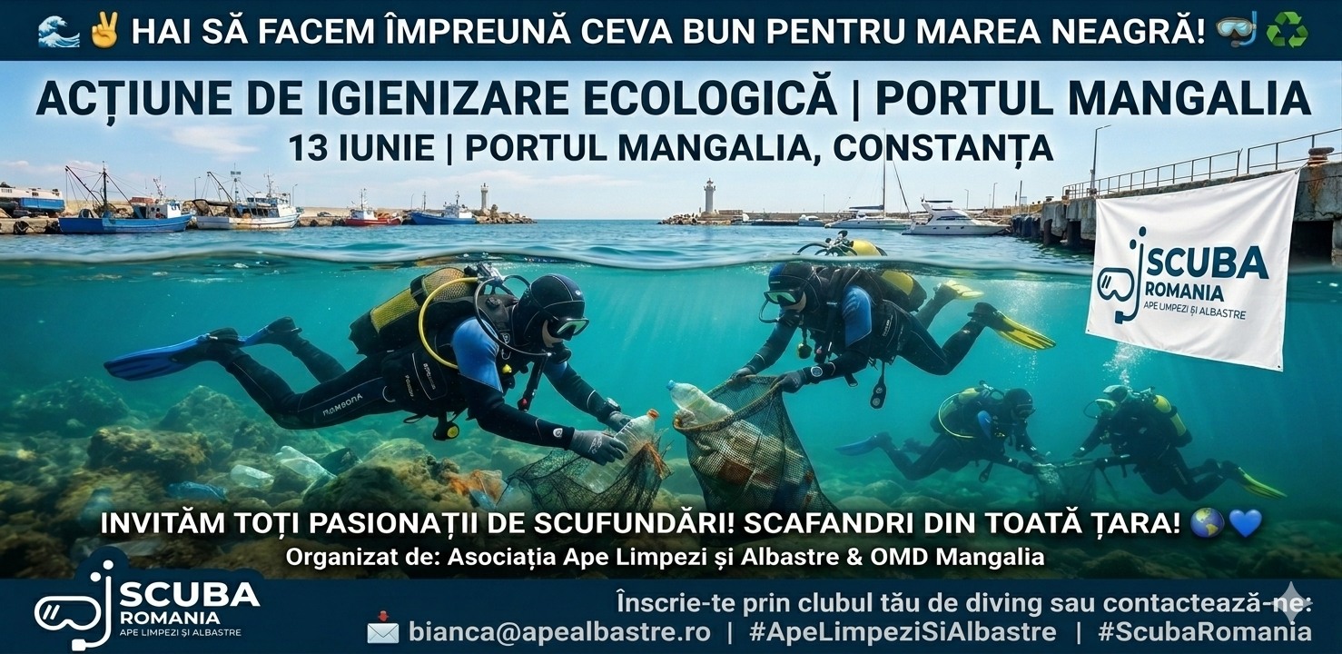 Igienizare ecologica in Portul Mangalia