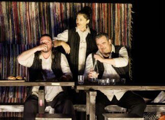 SEAS duce teatrul în comunele Constanței: se lansează SEAS Itinerant, o nouă secțiune a stagiunii estivale