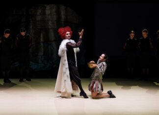 Două spectacole ale Teatrului de Stat Constanța, în selecția oficială a Festivalului Național de Teatru 2026
