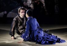„Orlando”, două reprezentații la Sala Studio înainte de participarea la Festivalul Național de Teatru